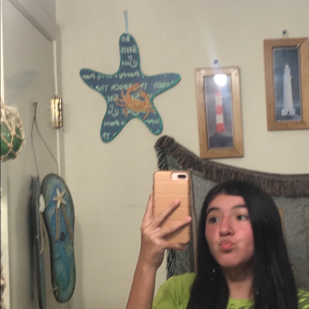 Meet your Posher, Analisa